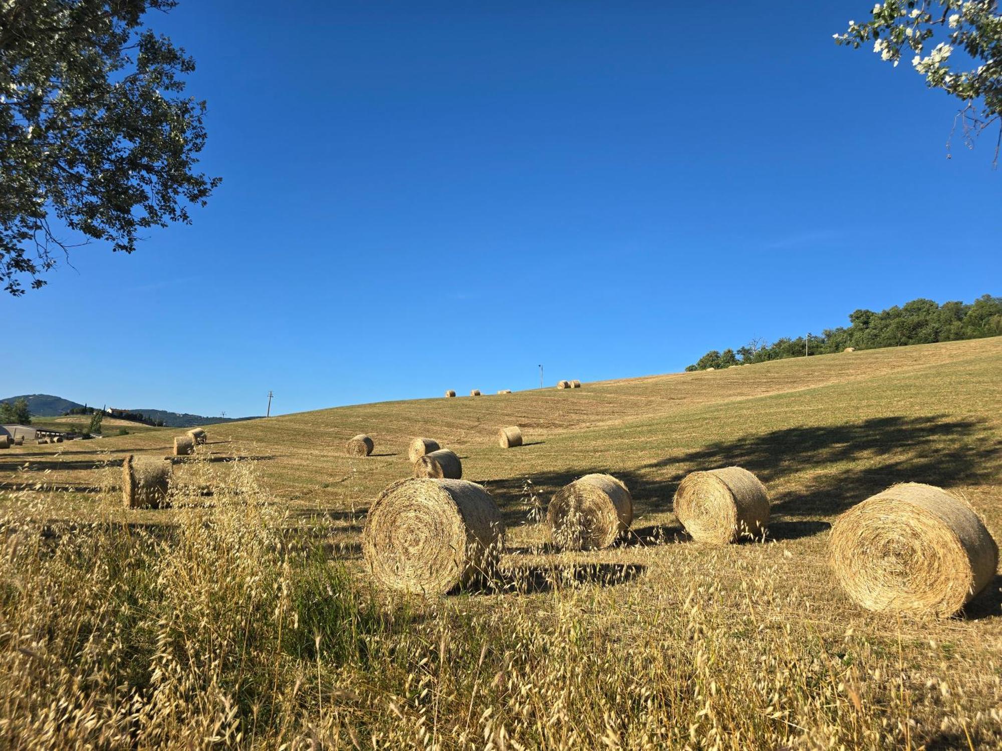 Villetta Pia Contignano Bagian luar foto